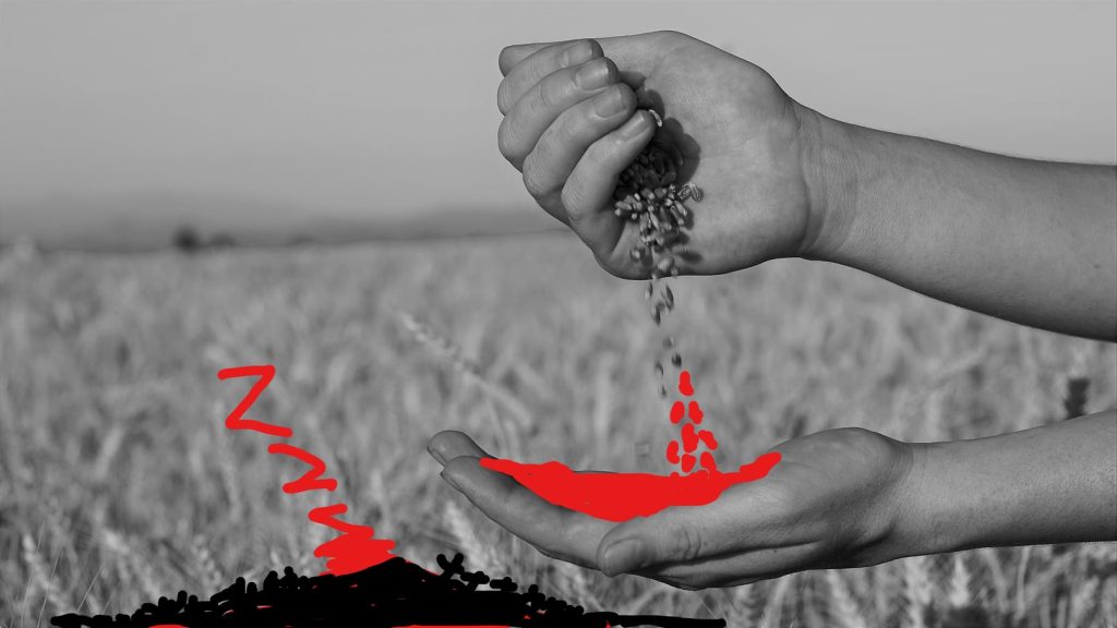 Holodomor Research Institute: Moscow steals and exports Ukrainian bread