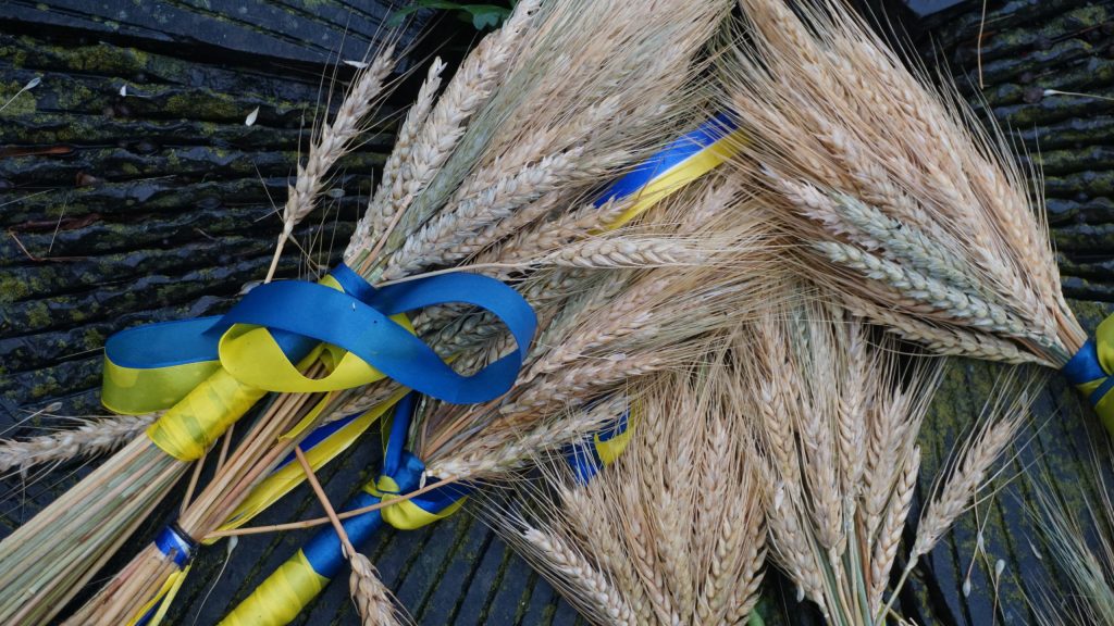 The Day of Remembrance for the Holodomor Victims 2025: photo report